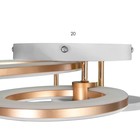 Люстра с ПДУ «Ринго» 4хLED 100 Вт 3000-6000К золото 60×50×10.5 см - фото 4368660