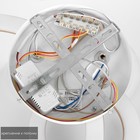 Люстра с ПДУ «Ринго» 4хLED 100 Вт 3000-6000К золото 60×50×10.5 см - фото 4368661