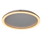 Люстра с ПДУ "Ринго" LED 62Вт 3000-6000К золото 50х50х4,5 см BayerLux - фото 21658297