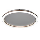 Люстра с ПДУ "Ринго" LED 62Вт 3000-6000К золото 50х50х4,5 см BayerLux - фото 21658298