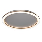 Люстра с ПДУ "Ринго" LED 62Вт 3000-6000К золото 50х50х4,5 см BayerLux - фото 21658299