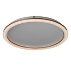 Люстра с ПДУ "Ринго" LED 62Вт 3000-6000К золото 50х50х4,5 см BayerLux - фото 21658300