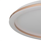 Люстра с ПДУ "Ринго" LED 62Вт 3000-6000К золото 50х50х4,5 см BayerLux - фото 21658302