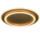 Люстра с ПДУ «Ринго» 2хLED 112 Вт 3000-6000К золото 50×50×5 см BayerLux - фото 35371119