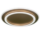 Люстра с ПДУ «Ринго» 2хLED 112 Вт 3000-6000К золото 50×50×5 см BayerLux - фото 35371120