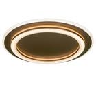 Люстра с ПДУ «Ринго» 2хLED 112 Вт 3000-6000К золото 50×50×5 см BayerLux - фото 35371121