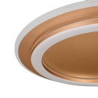 Люстра с ПДУ «Ринго» 2хLED 112 Вт 3000-6000К золото 50×50×5 см BayerLux - фото 35371124