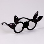 Карнавальные очки «Зайка» - фото 10802208