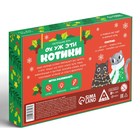 Новогодняя настольная игра «Новый год: Ох уж эти котики», 3 в 1, 50 карт, 2 кубика, 6+ - Фото 5