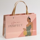 Пакет подарочный, упаковка, «Ты идеальна», 30 х 20 х 10 см - Фото 3