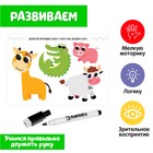 Развивающий набор «Забавные животные», пиши-стирай 7673912