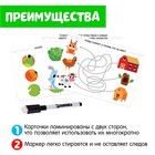 Развивающий набор «Забавные животные», пиши-стирай 7673912