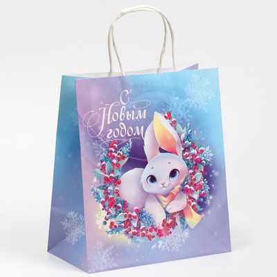 Пакет подарочный новогодний крафтовый «Зайка», 22 х 25 х 12 см