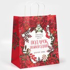 Пакет подарочный новогодний крафтовый «Доброй зимы», 28 х 32 х 15 см 7689885