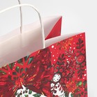 Пакет подарочный новогодний крафтовый «Доброй зимы», 28 х 32 х 15 см 7689885