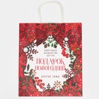 Пакет подарочный новогодний крафтовый «Доброй зимы», 28 х 32 х 15 см 7689885