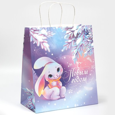 Пакет подарочный новогодний крафтовый «Тепло в душе», 28 х 32 х 15 см