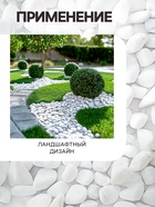 Мраморная крошка «Рецепты Дедушки Никиты», отборная, белая, фракция 2.5-5 мм, 5 кг - Фото 3