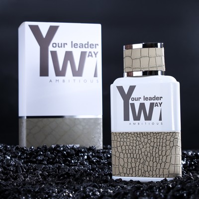 Туалетная вода Your Leader Way «Ambitious» мужская, 100 мл