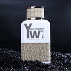 Туалетная вода Your Leader Way «Ambitious» мужская, 100 мл - Фото 2