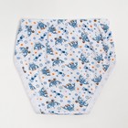 Трусы для мальчика, цвет МИКС, рост 104 см - фото 35247158