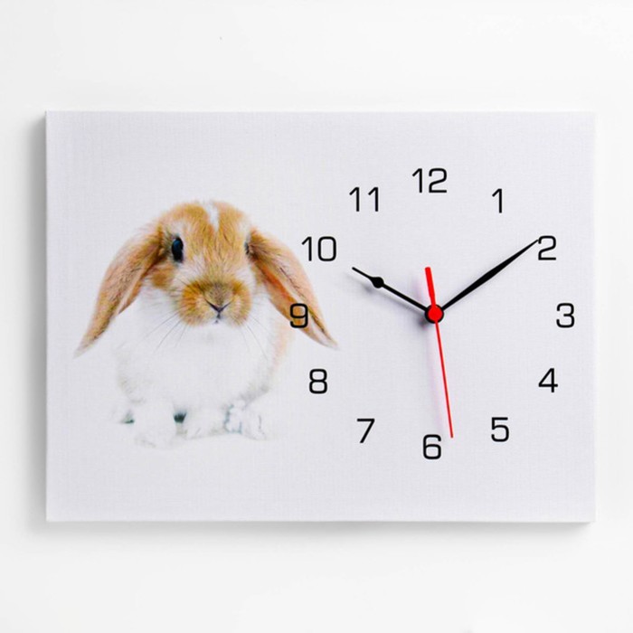 Часы-картина настенные "Заяц", плавный ход, 30 х 40 см, 1 АА - фото 1906027344