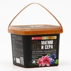 Удобрение водорастворимое для голубики Bona Forte с серой и магнием, 1 л - Фото 2