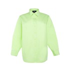 Рубашка женская MIST: Classic Collection, размер 42, зелёный - Фото 7