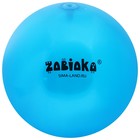 Мяч детский ZABIAKA, d=22 см, 60 г, цвет МИКС - фото 3876739