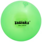 Мяч детский ZABIAKA, d=22 см, 60 г, цвет МИКС - Фото 2