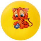 Мяч детский ZABIAKA «Тигруля», d=22 см, 60 г, цвет МИКС - фото 3876746