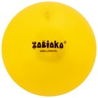 Мяч детский ZABIAKA, d=22 см, МИКС 7373186 - фото 425429