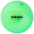 Мяч детский ZABIAKA, d=22 см, 60 г, цвета МИКС - Фото 8