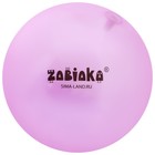 Мяч детский ZABIAKA, d=22 см, 60 г, цвет МИКС - фото 3583727