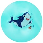 Мяч детский «Акула» 22 см, 60 г, цвет бирюзовый - фото 3583744