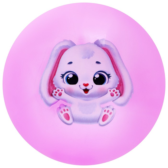 Мяч детский ZABIAKA «Зайчонок», d=22 см, 60 г, цвет МИКС - фото 1904566163