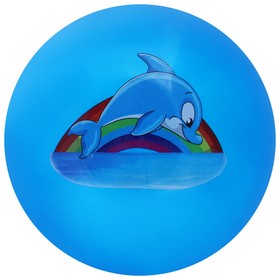 Мяч детский ZABIAKA «Дельфинчик», d=22 см, 60 г, цвет синий