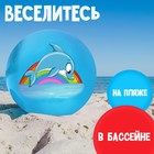 Мяч детский ZABIAKA «Дельфинчик», d=22 см, 60 г, цвет синий - фото 3583749