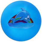 Мяч детский ZABIAKA «Дельфинчик», d=22 см, 60 г, цвет синий - фото 8685253