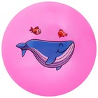 Мяч детский ZABIAKA «Кит», d=22 см, 60 г, цвет МИКС - Фото 8