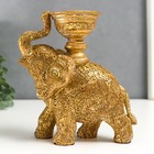Сувенир полистоун подсвечник "Слон с наскальными рисунками" золотистый 16х7,5х13 см - фото 2657322