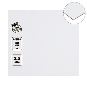 Картон переплётный (обложечный) 2.5 мм, 30 х 30 см, Х LINE (сенгвич), 950 г/м2, белый