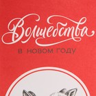 Пакет без ручек «Волшебства», 10 х 19.3 х 7 см, Новый год - Фото 4