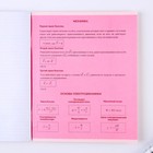 Набор тетрадей 48 листов, 10 предметов со справ. мат. в обечайке «1 сентября: Розовый», обложка мелованный картон 230 гр., внутренний блок в клетку/линейку 80 гр., белизна 96% - Фото 31