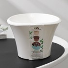 Кашпо для цветов со вставкой «Лагуна», 600 мл, d=13 см, h=9 см, белое - Фото 5