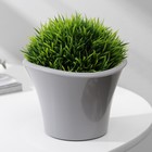 Кашпо для цветов со вставкой «Лагуна», 600 мл, d=13 см, h=9 см, цвет серый - Фото 1