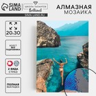 Алмазная мозаика с полным заполнением на холсте «Прыжок», 20×30 см - Фото 1