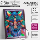 Алмазная мозаика с частичным заполнением и форменными стразами на раме «Волк», 30×40 см - Фото 1
