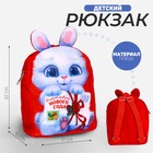Рюкзак детский плюшевый «Счастливого Нового года», зайка, 22×17 см - фото 9832019