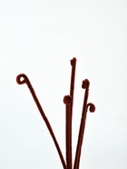 Синельная проволока набор 50 шт., коричневая, 30 см - Фото 3